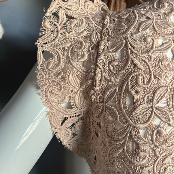 Zara Dress, nude lace sheath with flutter sleeve & neck sz XS - Picture 7 of 10